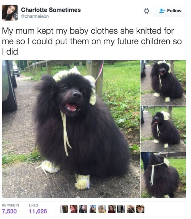 30 Cute And Wholesome Memes To Make You Feel Good