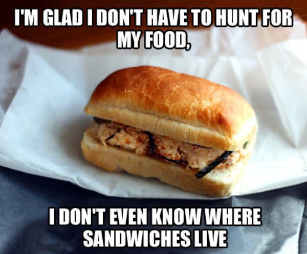 30 Hilarious Food Memes To Share With Fellow Foodies