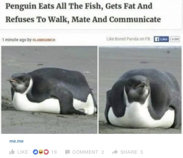 30 Hilarious Food Memes To Share With Fellow Foodies