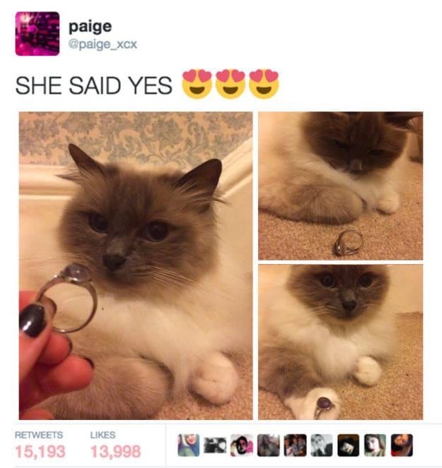 30 Cute And Wholesome Memes To Make You Feel Good