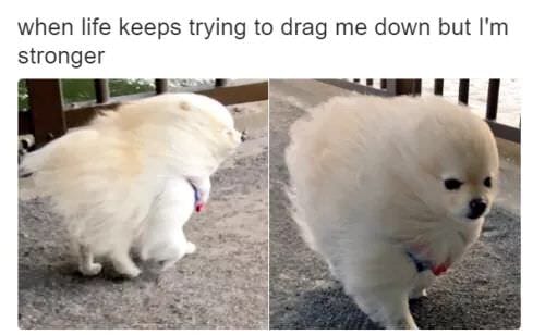 30 Exciting Funny Pictures For You To Laugh At 