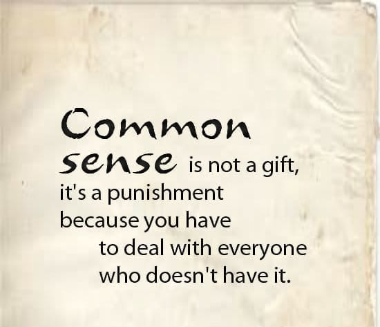 30 Brilliant Quotes About Life 