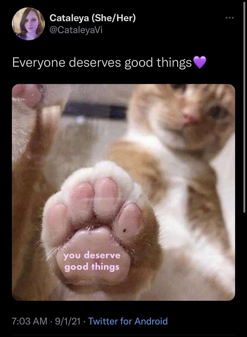 30 Magical Wholesome Memes You Must See