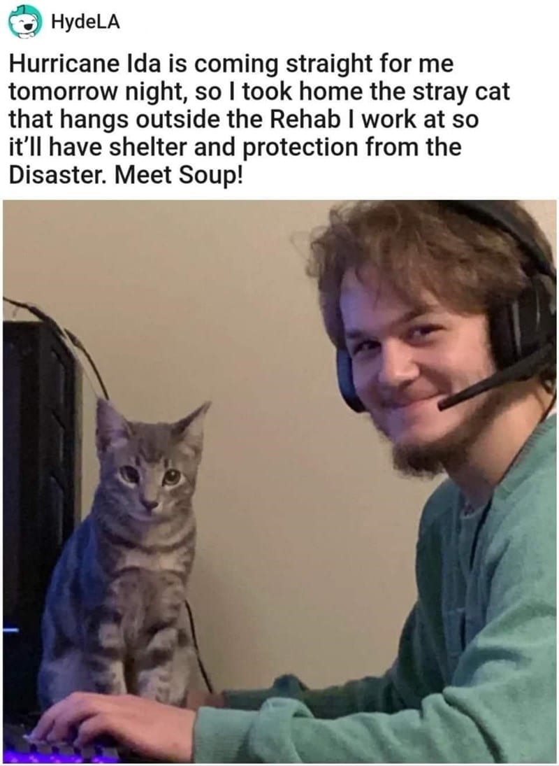 30 Magical Wholesome Memes You Must See