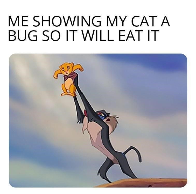 30 Incredible Memes That You Will Relate To