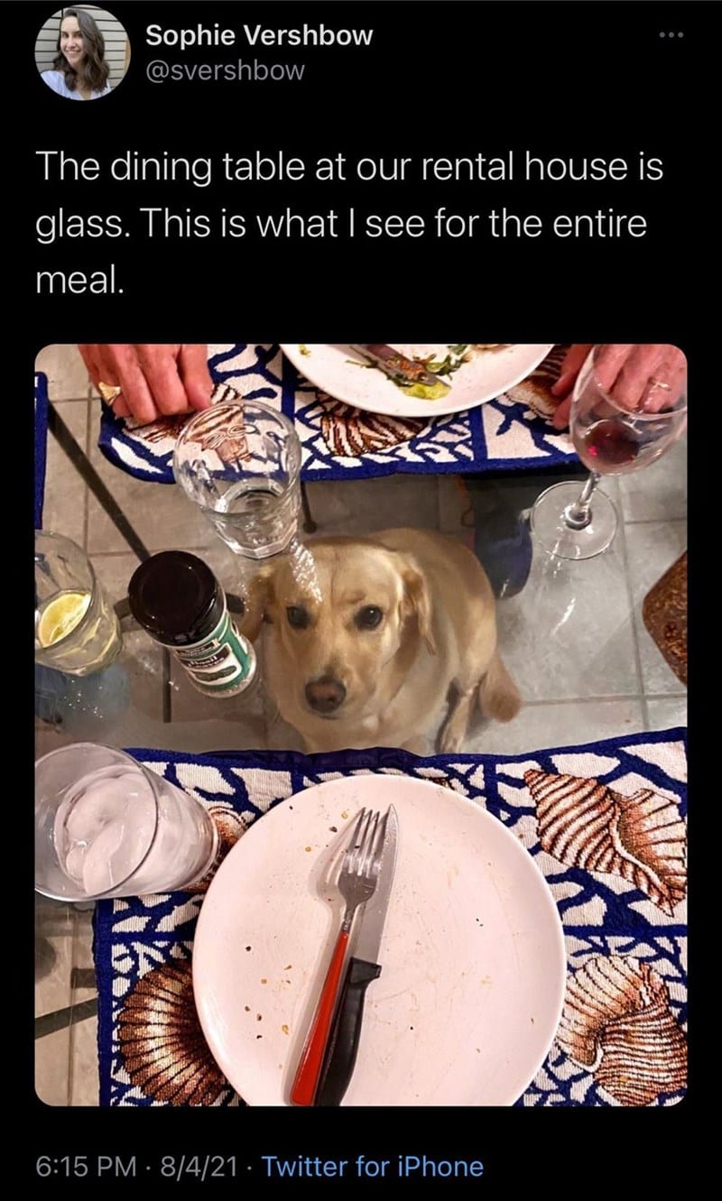 30 Magical Wholesome Memes You Must See