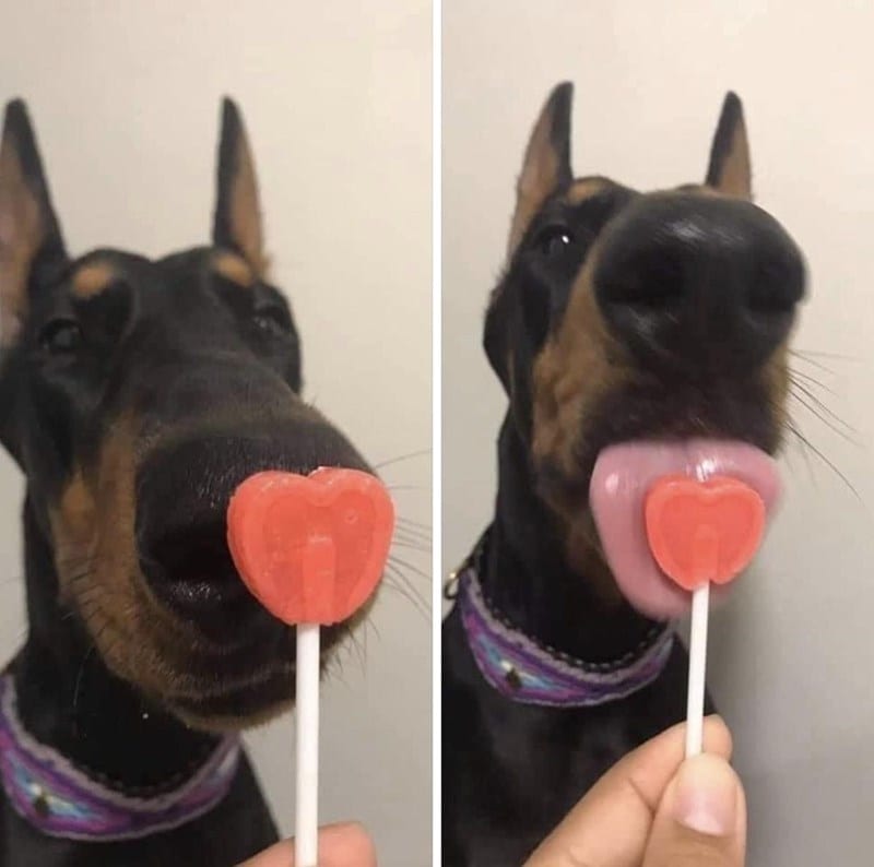 30 Magical Wholesome Memes You Must See