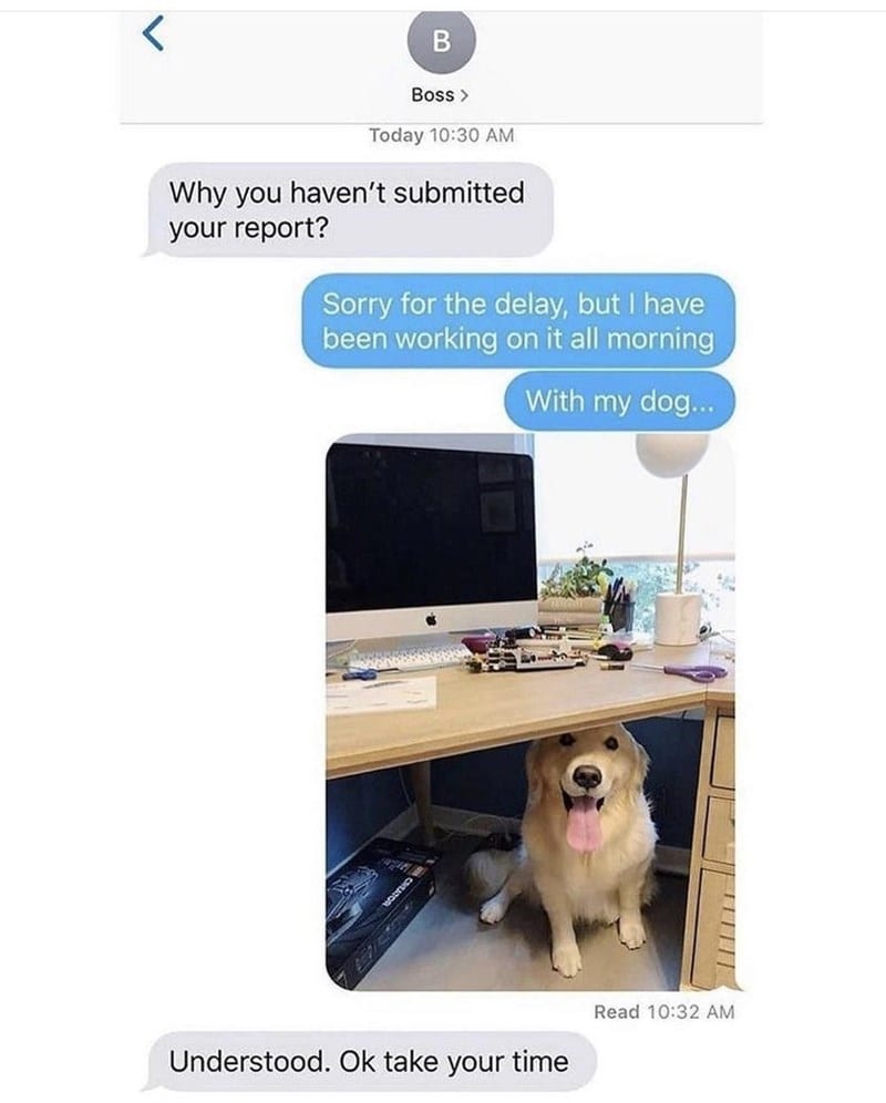 30 Magical Wholesome Memes You Must See