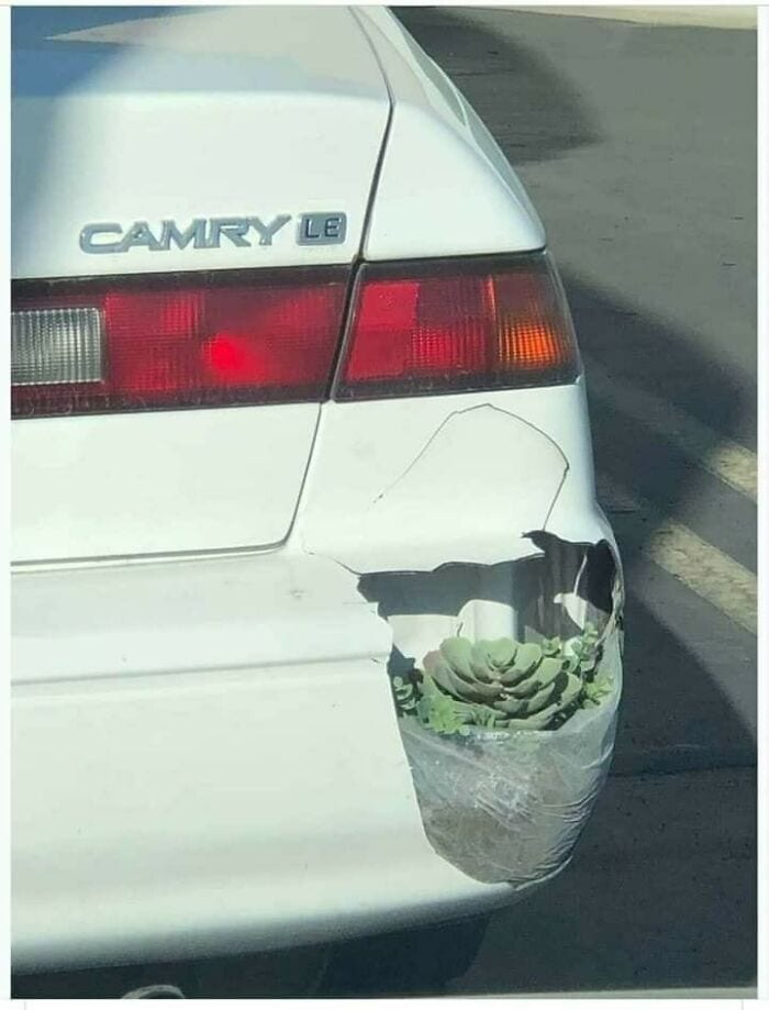 30 Foolish Diy Fails You Must See