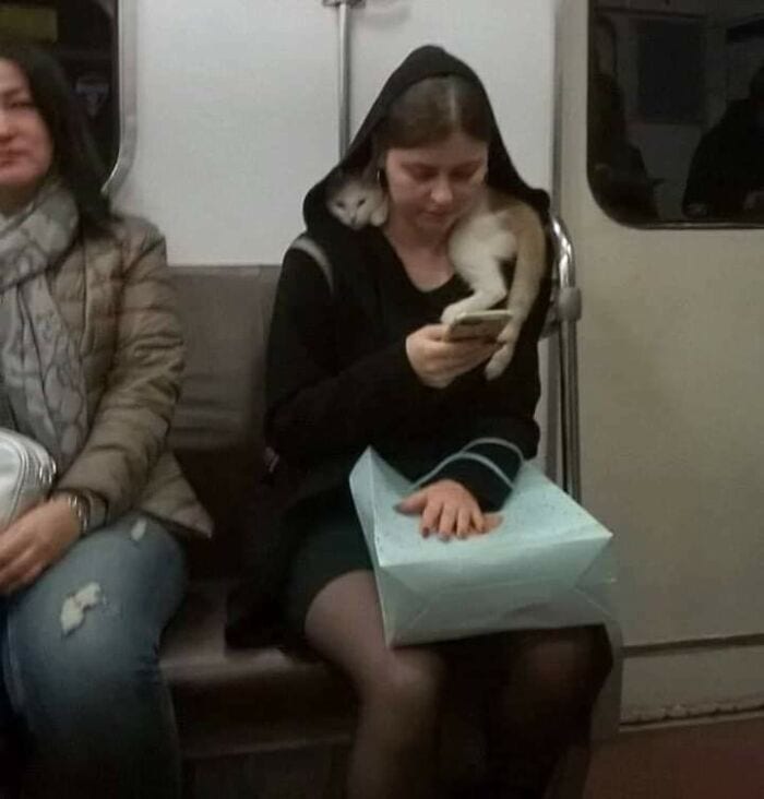 30 Strange And Weird Pictures Taken On The Subway 