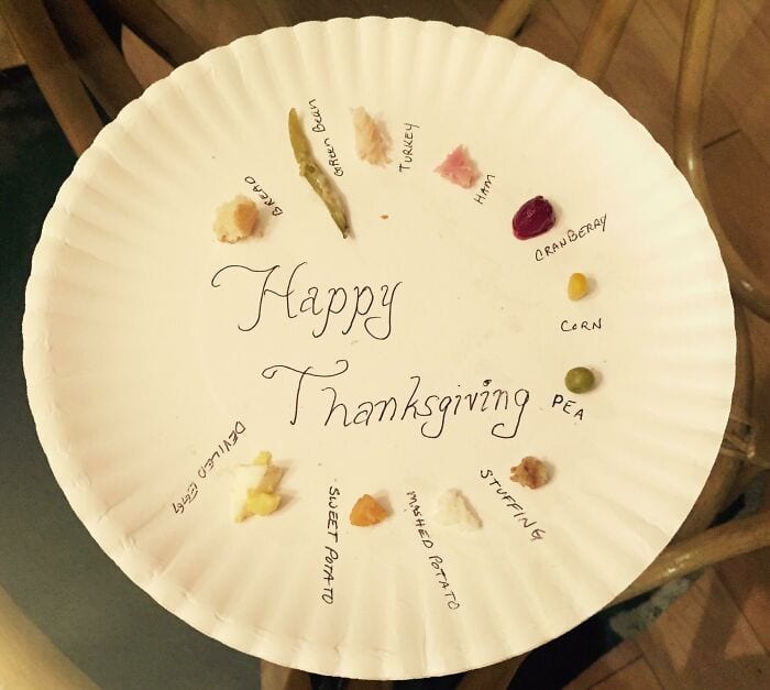 30 Epic Fails From This Past Thanksgiving