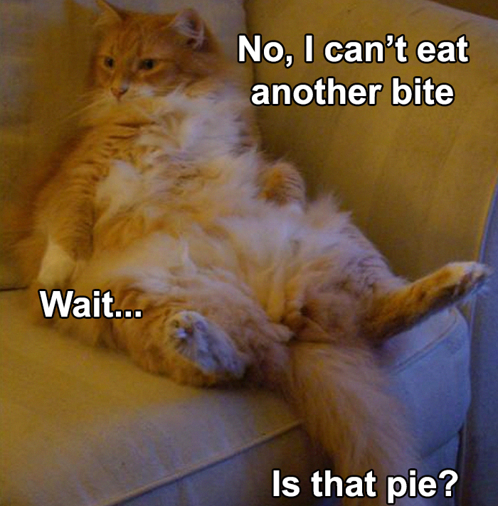 30 Festive Thanksgiving Memes That Are So Relatable