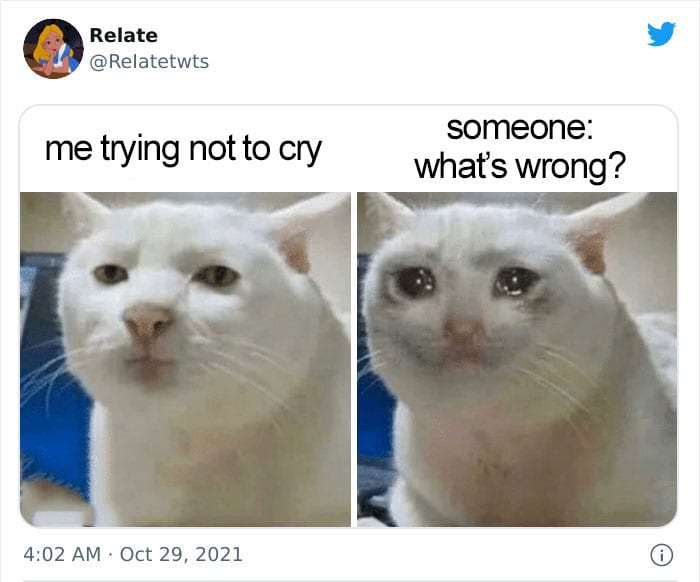 30 Truly Funny Memes That Are Extremely Relatable