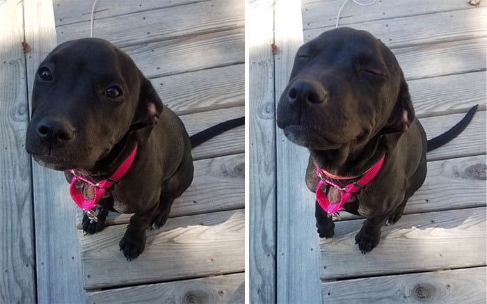 31 Heartwarming Before And After Images That Are So Wholesome !