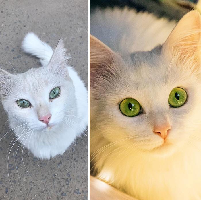 31 Heartwarming Before And After Images That Are So Wholesome !