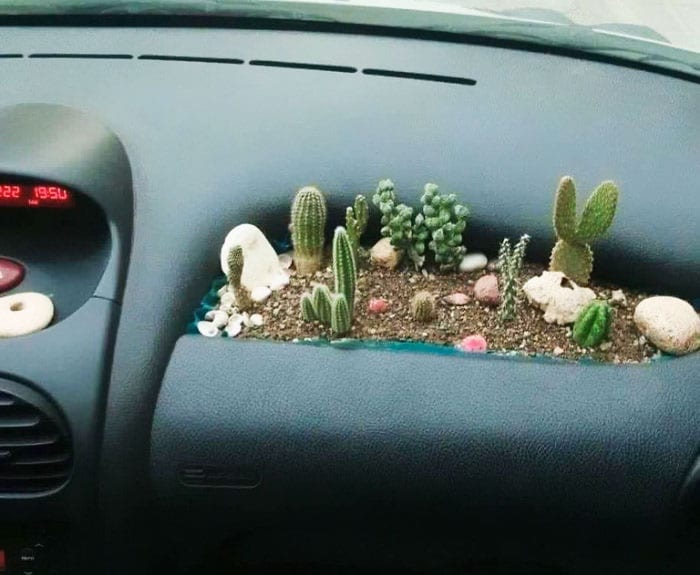 34 Extremely Funny D.i.why Fails You Must See