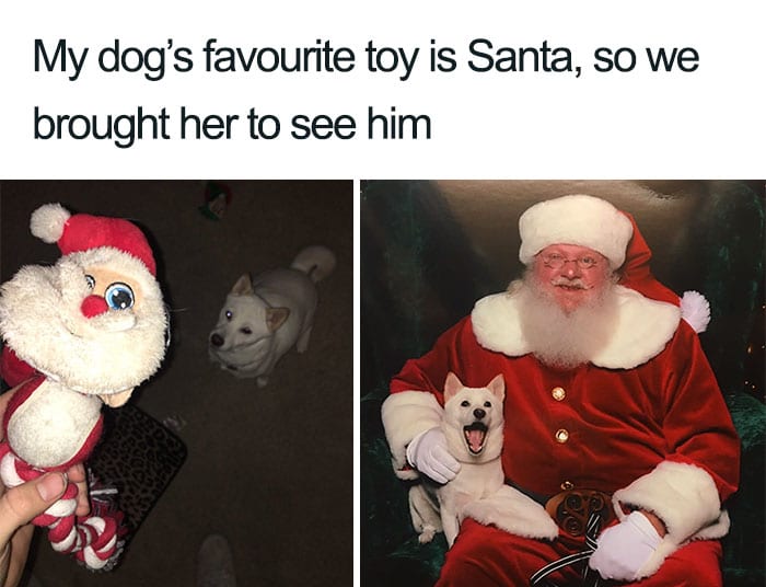 30 Festive Christmas Memes To End Off Your Year