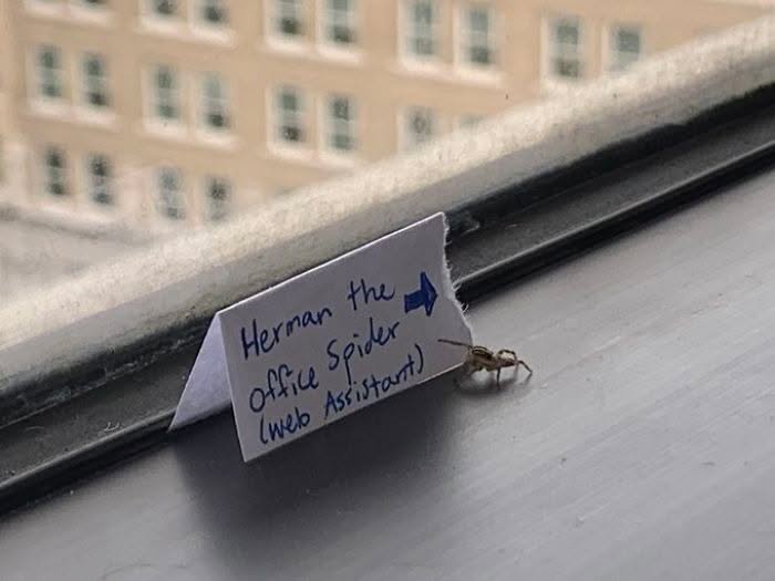 30 Elite Work Place Memes To Share With Your Colleagues 
