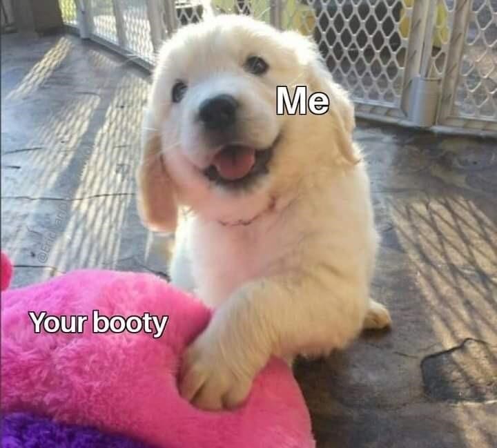 30 Naughty And Nice Valentines Memes