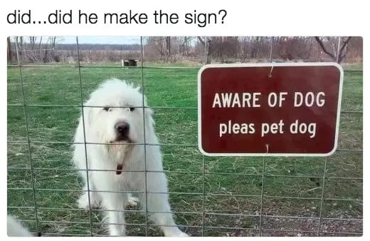 30 Perfect Funny Dog Memes That Will Make Your Day So Much Better 