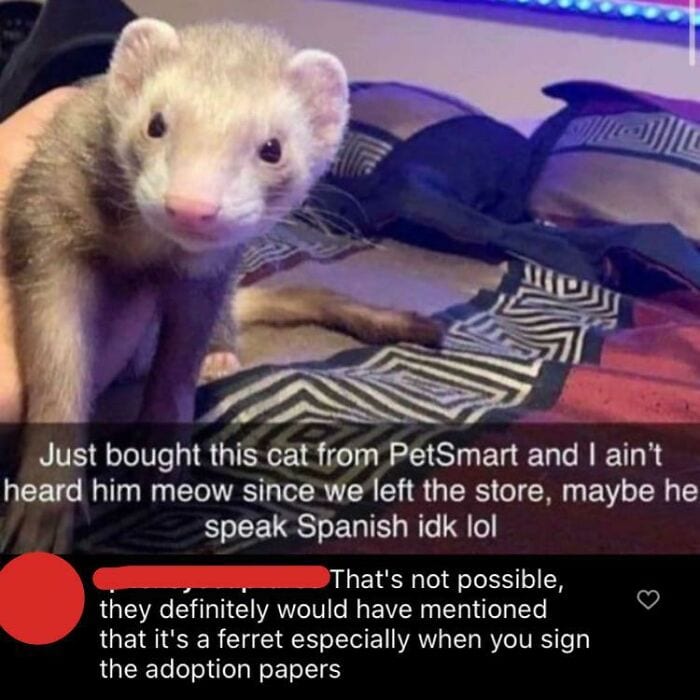 30 Hilarious Times People Missed The Joke And Embarrassed Themselves 