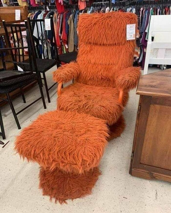 30 Bizarre But Absolutely Hilarious Thrift Store Finds
