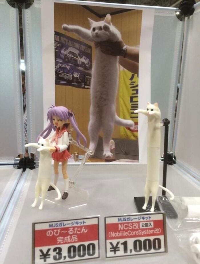 30 Weirdly Funny Unexplained Japanese Pictures With Out Any Context