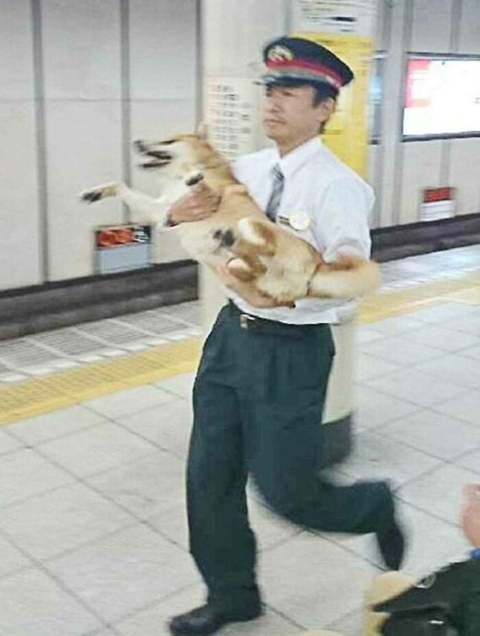 30 Weirdly Funny Unexplained Japanese Pictures With Out Any Context