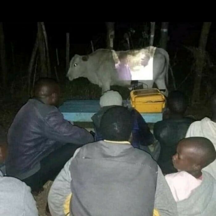 30 Spectacularly Weird Pictures That Will Definitely Confuse You