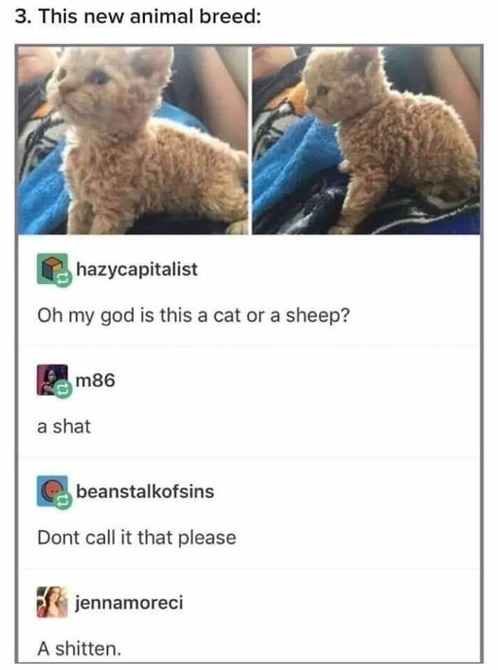 30 Of The Funniest Comments The Internet Has To Offer