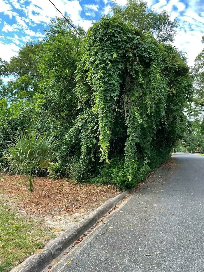30 Extreme Times People Experienced A Serious Case Of Pareidolia I