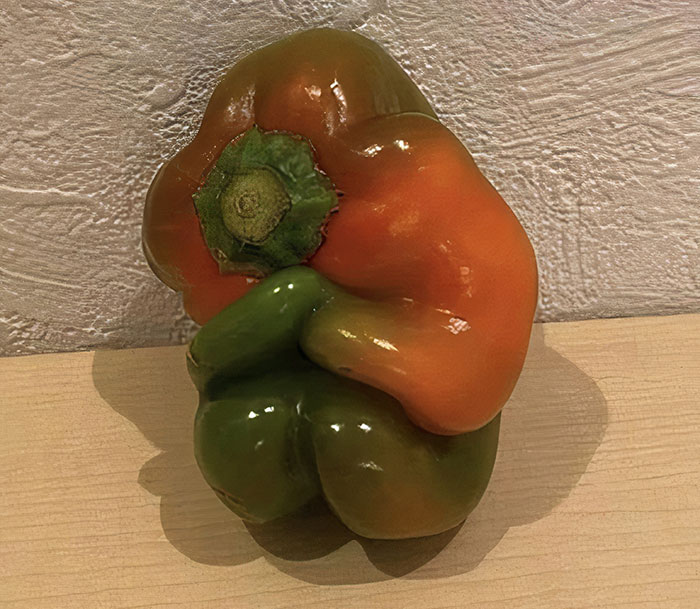30 Extreme Times People Experienced A Serious Case Of Pareidolia I