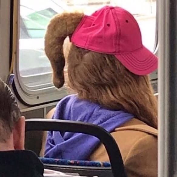 30 Times People Were Spotted With Hideous Hairdos