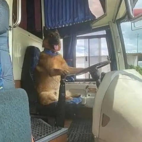 30 Of The Weirdest Images Found On Instagram