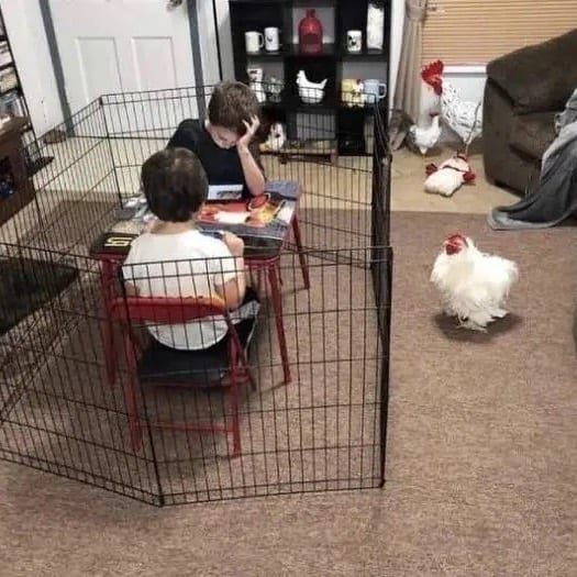 30 Of The Weirdest Images Found On Instagram