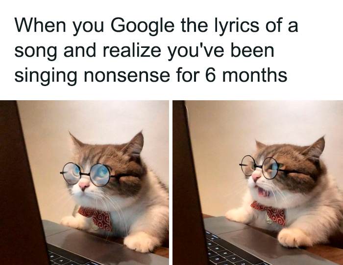 30 Hilariously Goofy Animals To Brighten Up Your Day