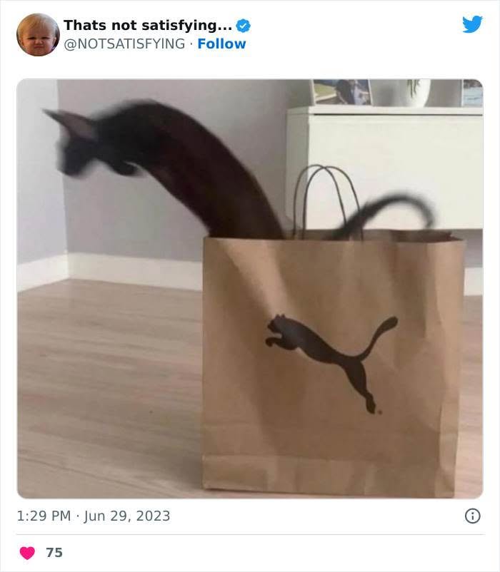 30 Of The Weirdest Tweets You'll Ever See