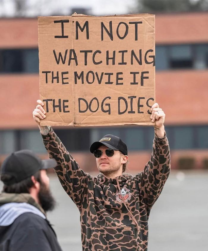 30 Memes That Dog Owners May Find Humorously Relatable