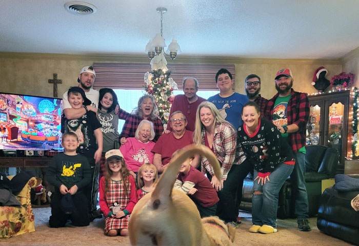 30 Times Pets Made Christmas A Holiday To Remember