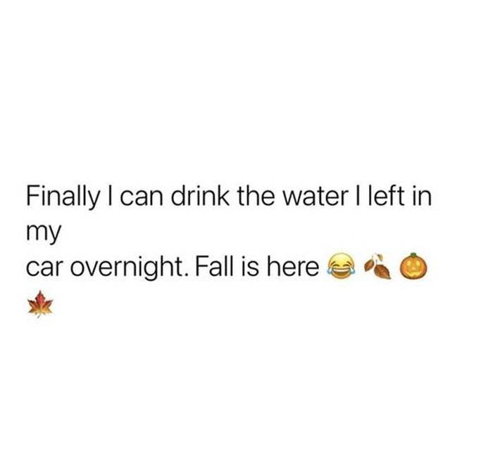 Fall Meme 31 6708D73E775Fb 700