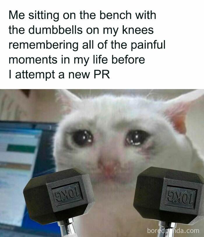 30 Hilarious Gym Memes For Anyone Who's Felt The Pain Of ‘Just One More Rep’